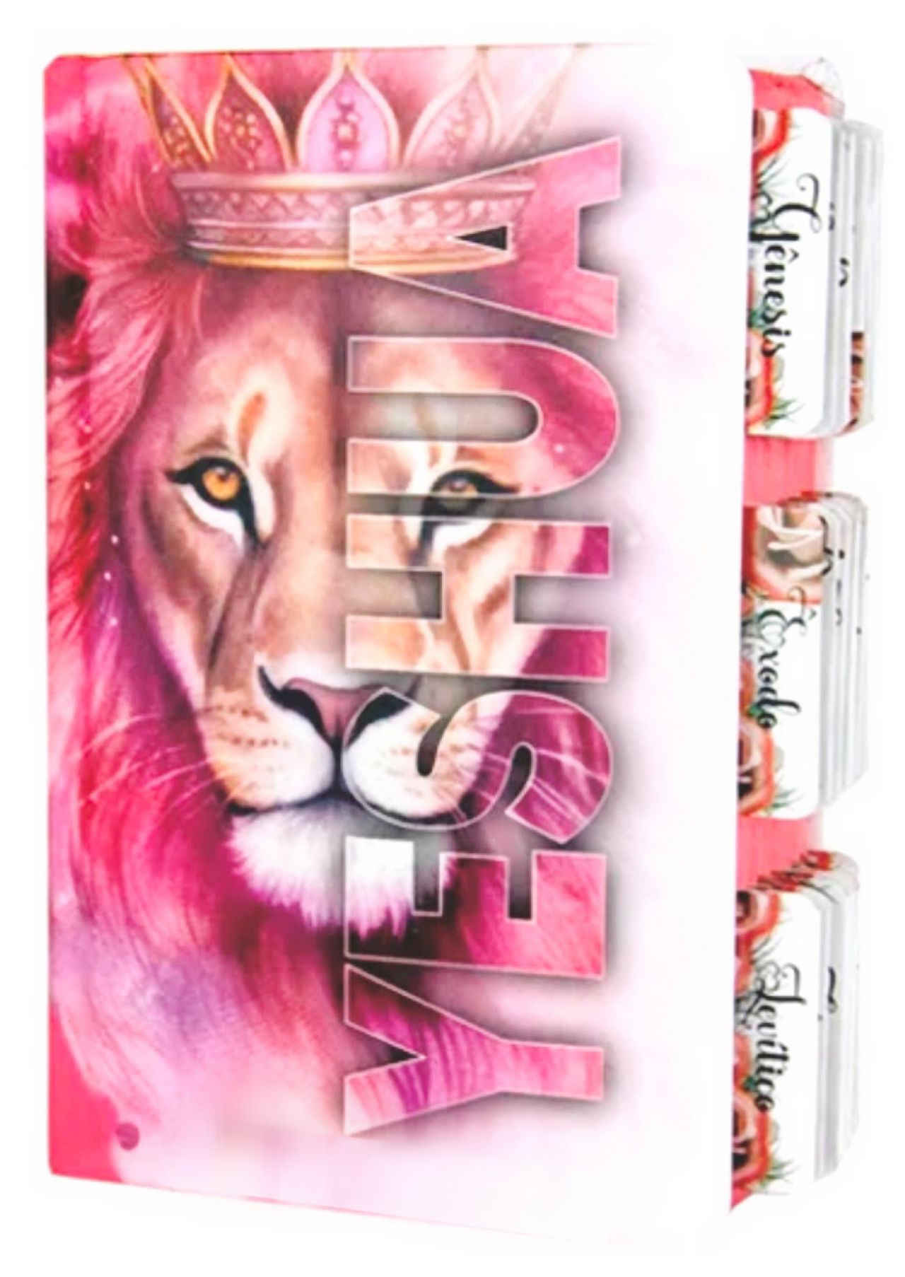 Bíblia Sagrada - Yeshua Rosa - Abas