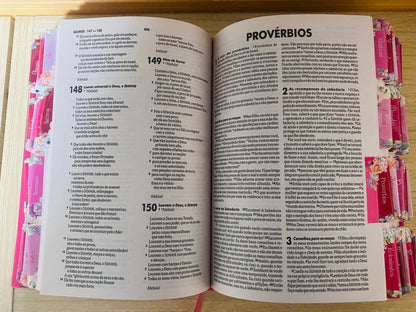 Bíblia NTLH com abas