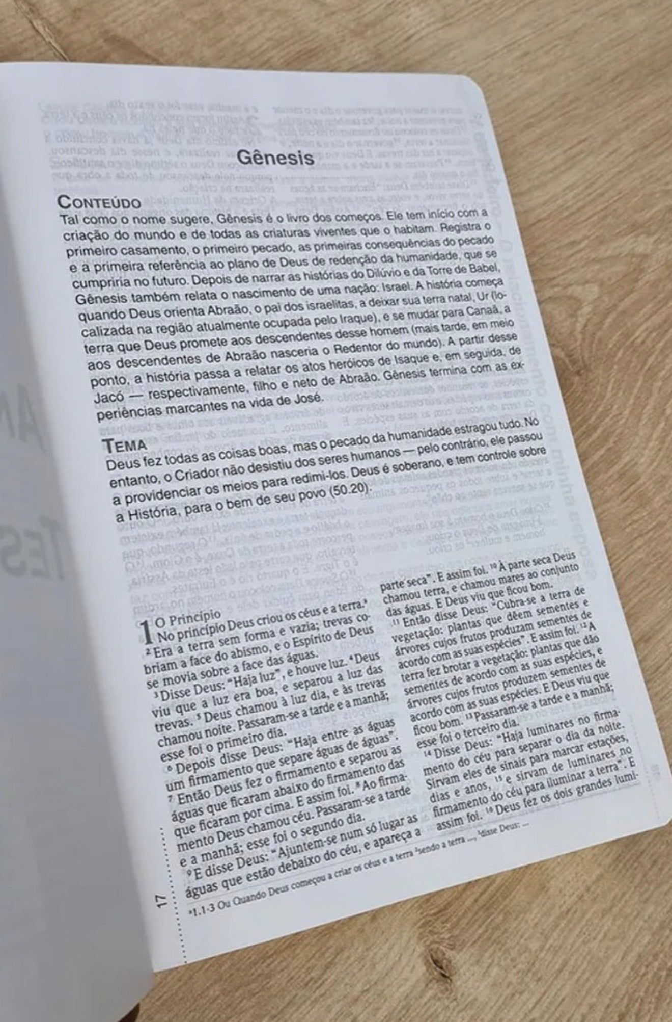 Biblia Devocional Do Homem | NVI | Letra Grande | Capa Luxo Marrom