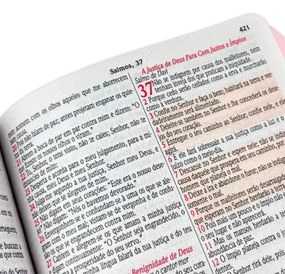 Bíblia Sagrada - Filha Amada
