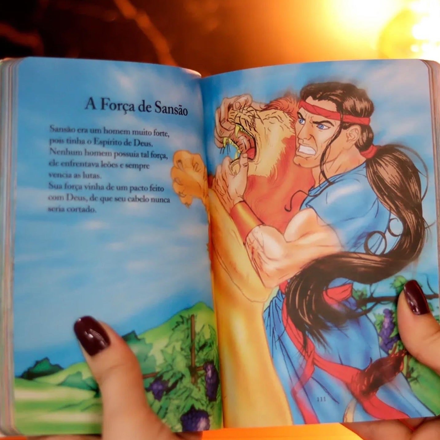 Biblia Infantil e Seus Herois