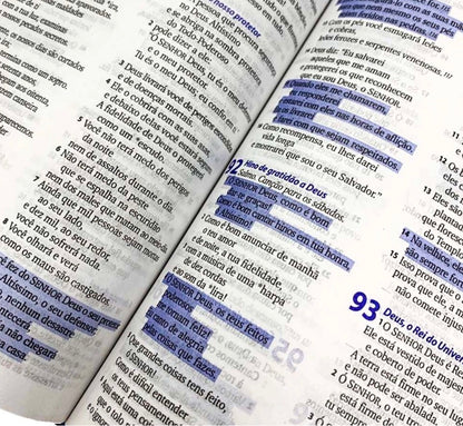 Biblia Sagrada 3 palavrinhas