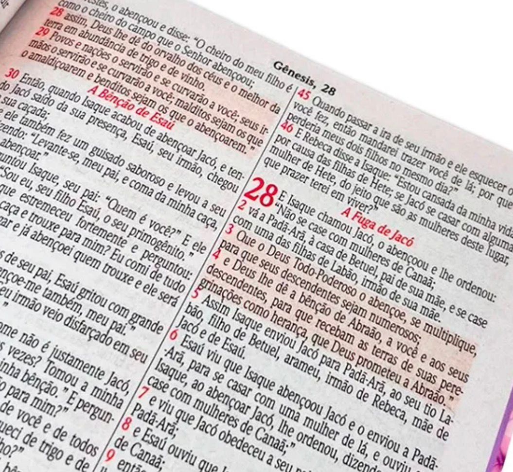 Bíblia Sagrada - Florença NAA