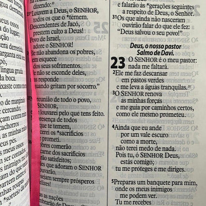 Bíblia Sagrada Letra Gigante NTLH Pink Com Índice