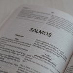 Bíblia Sagrada Leão | NVI | Leão da tribo de Judá - Capa Brochura