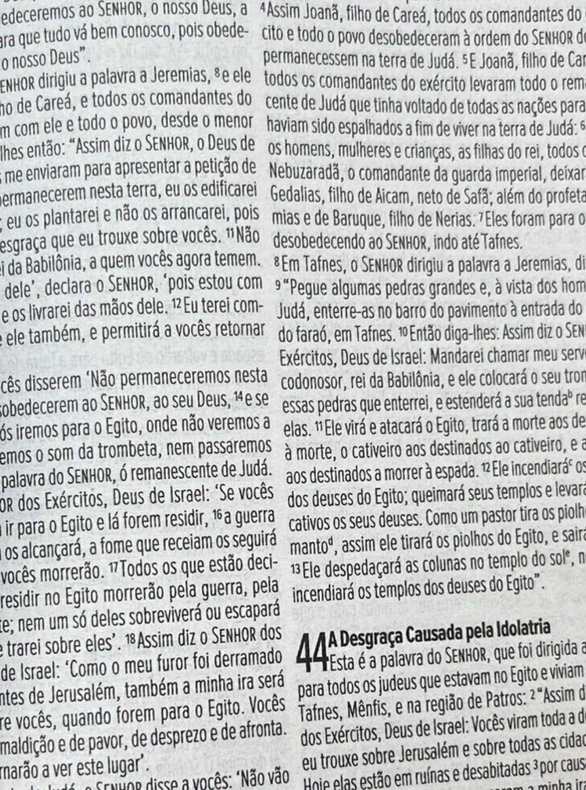 Bíblia Sagrada NVI Letra Média Brochura Leão Rei Dos Reis