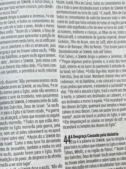 Bíblia Sagrada NVI Letra Média Brochura Leão Rei Dos Reis