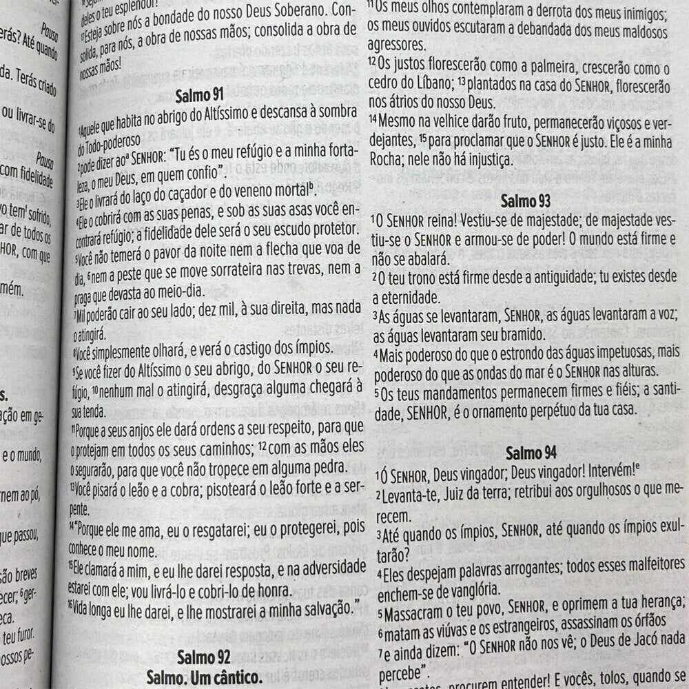 Bíblia Sagrada NVI Letra Média Brochura Flores Pink