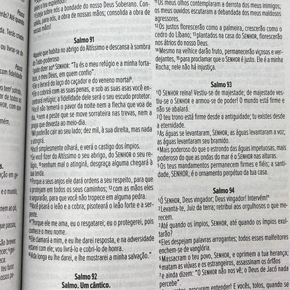Bíblia Sagrada NVI Letra Média Brochura Flores Pink
