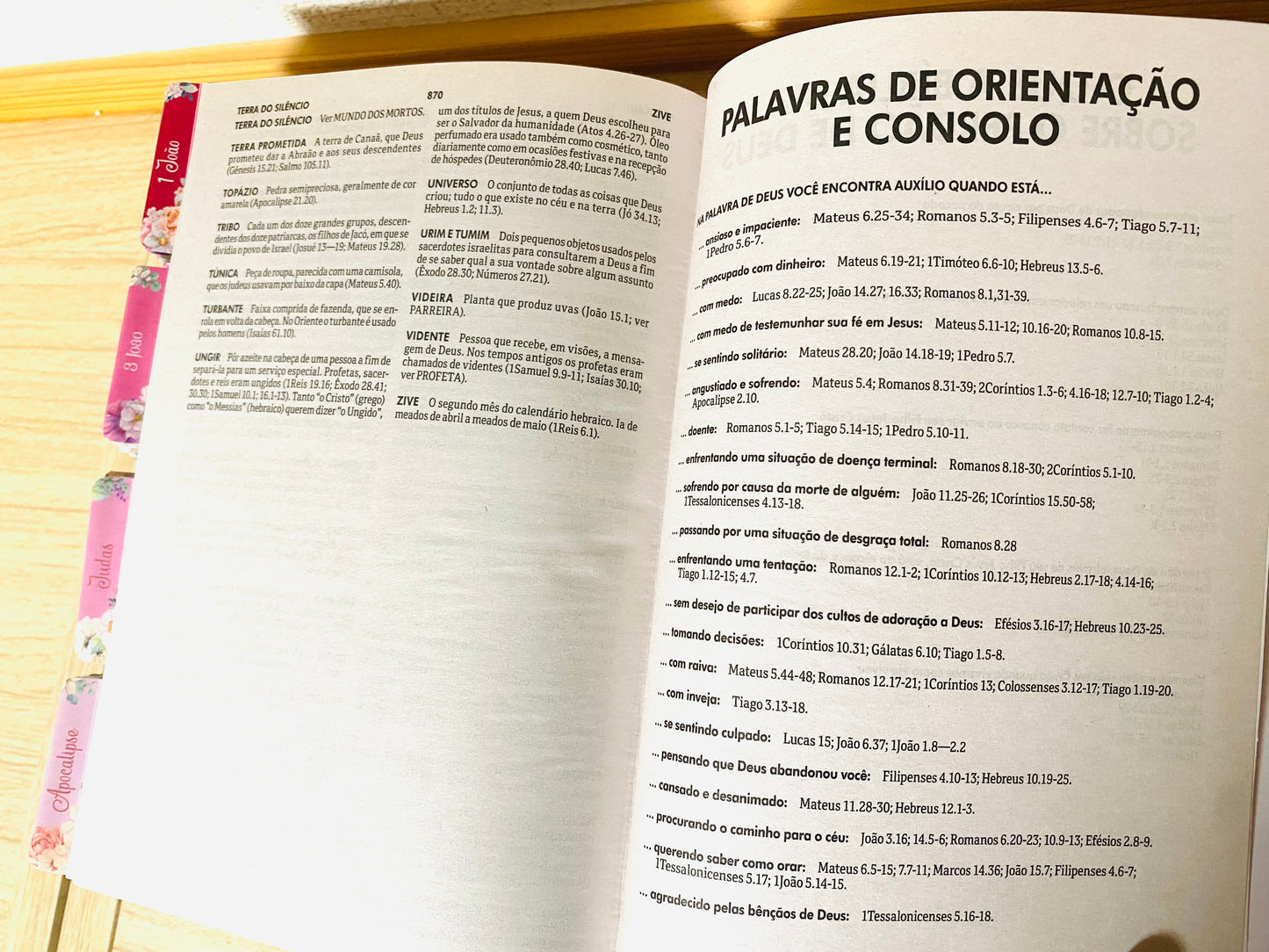 Bíblia NTLH com abas