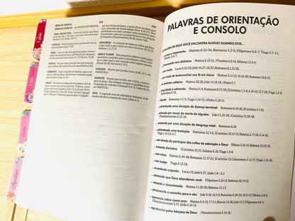 Bíblia NTLH com abas