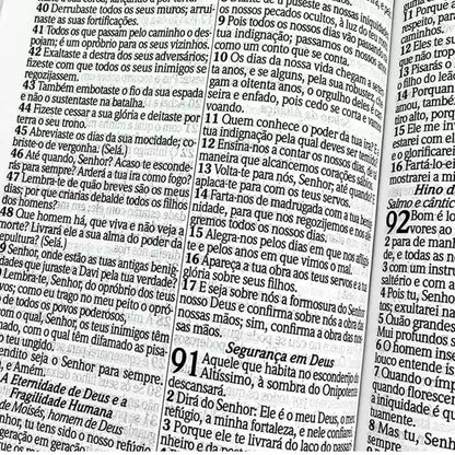 Bíblia Sagrada RC Letra Gigante Com Harpa Avivada E Corinhos Capa Dura Circulo Flores