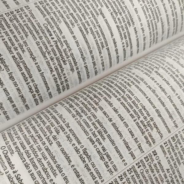 Bíblia Sagrada | ARC Slim | Capa Dura Rosas | Harpa e Corinhos