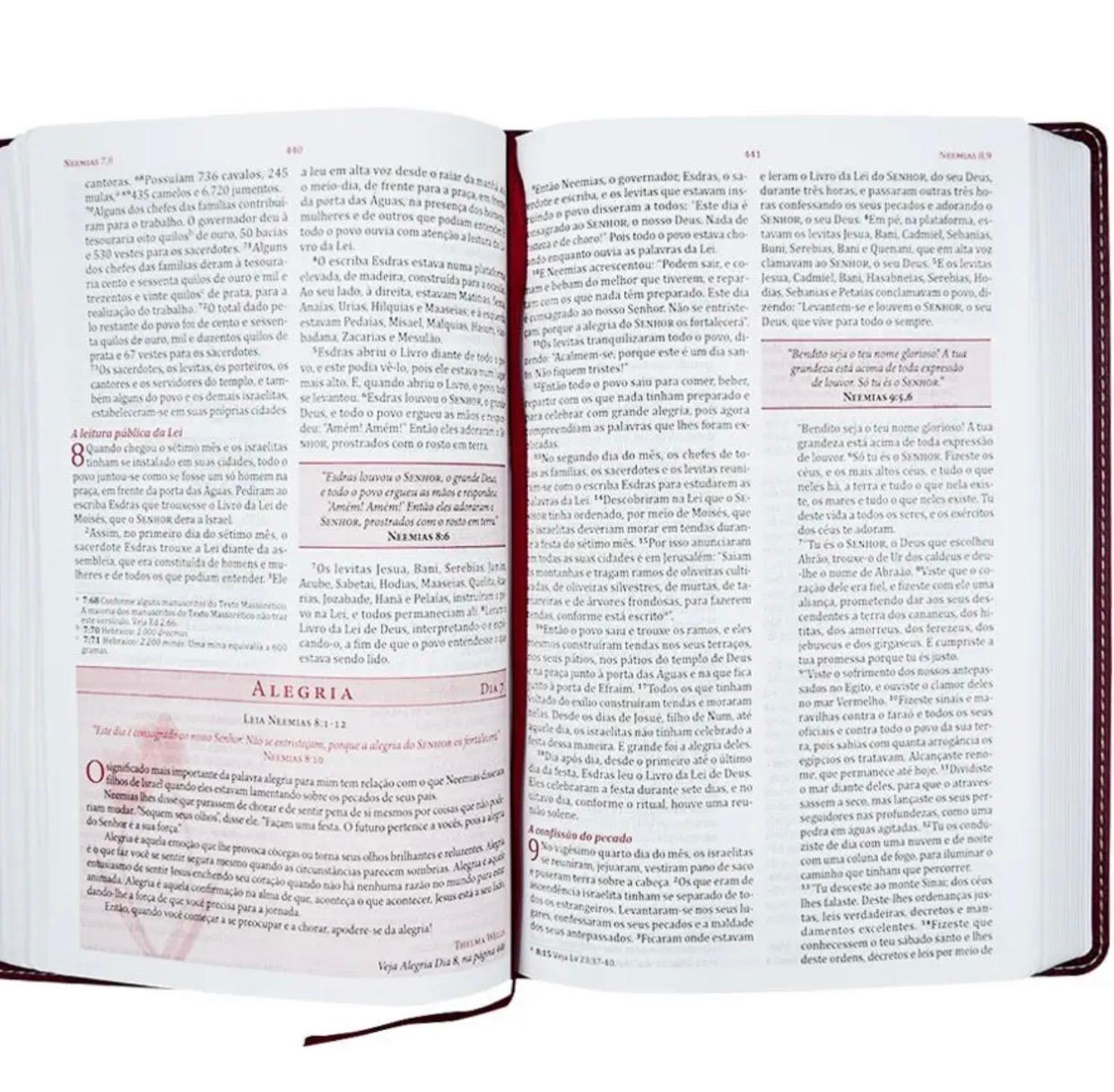 Bíblia da Mulher de Fé | Letra Normal | Capa Couro Vermelha