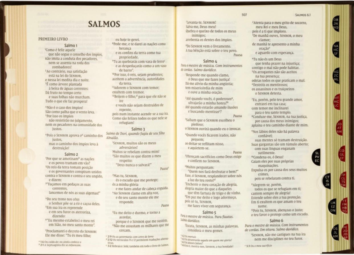 Biblia NVI | Letras De Jesus Em Destaque | Capa Dura | Marrom