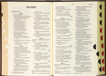 Biblia NVI | Letras De Jesus Em Destaque | Capa Dura | Marrom