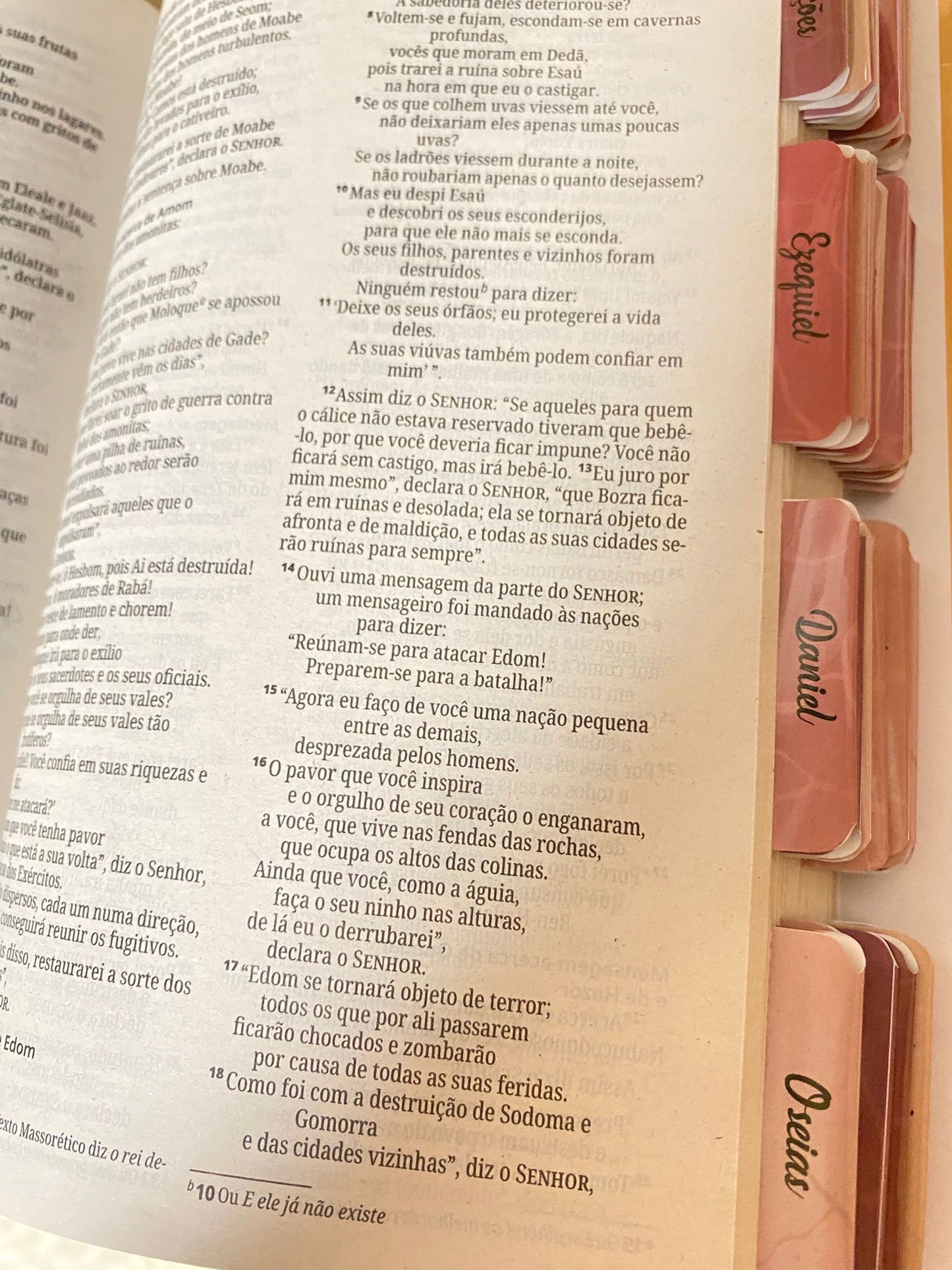 Bíblia Sagrada Capa Leão Abas  | NVI | Letra Normal | Capa Dura