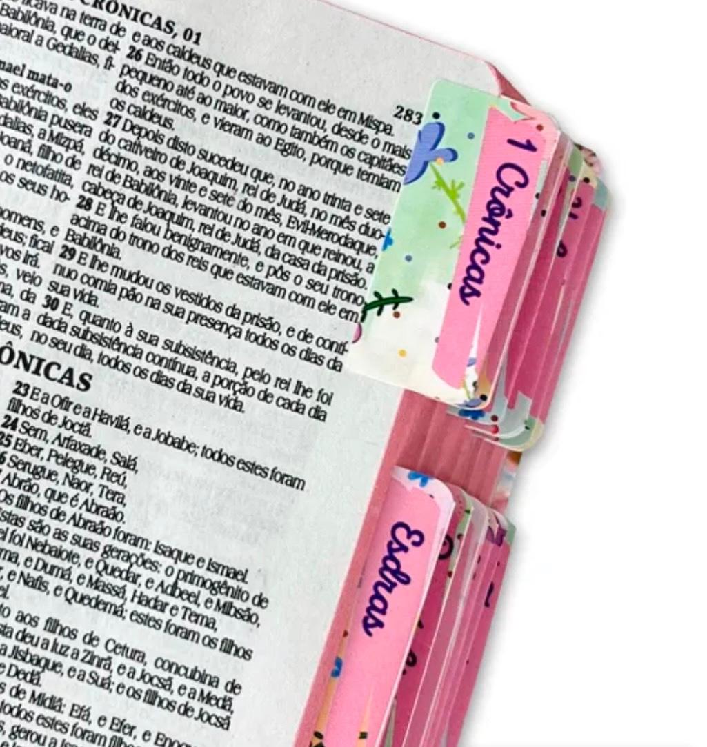 Bíblia Sagrada Princesa do Senhor ,com abas ,HARPA E CORINHO