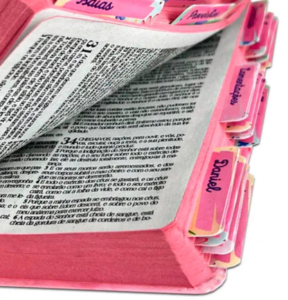 Bíblia Sagrada Princesa do Senhor ,com abas ,HARPA E CORINHO