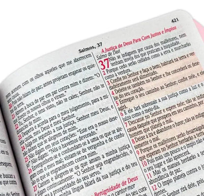 Bíblia Sagrada - Menina dos olhos de Deus NVA