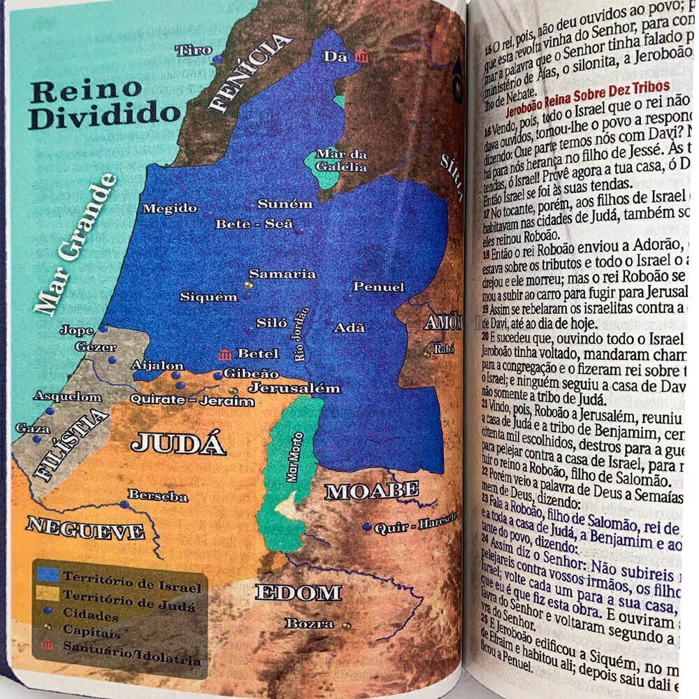 RC バイブル エコノミック ジャイアント プリント ハードカバー ハープとコーラス付き ライオン キング オブ キングス