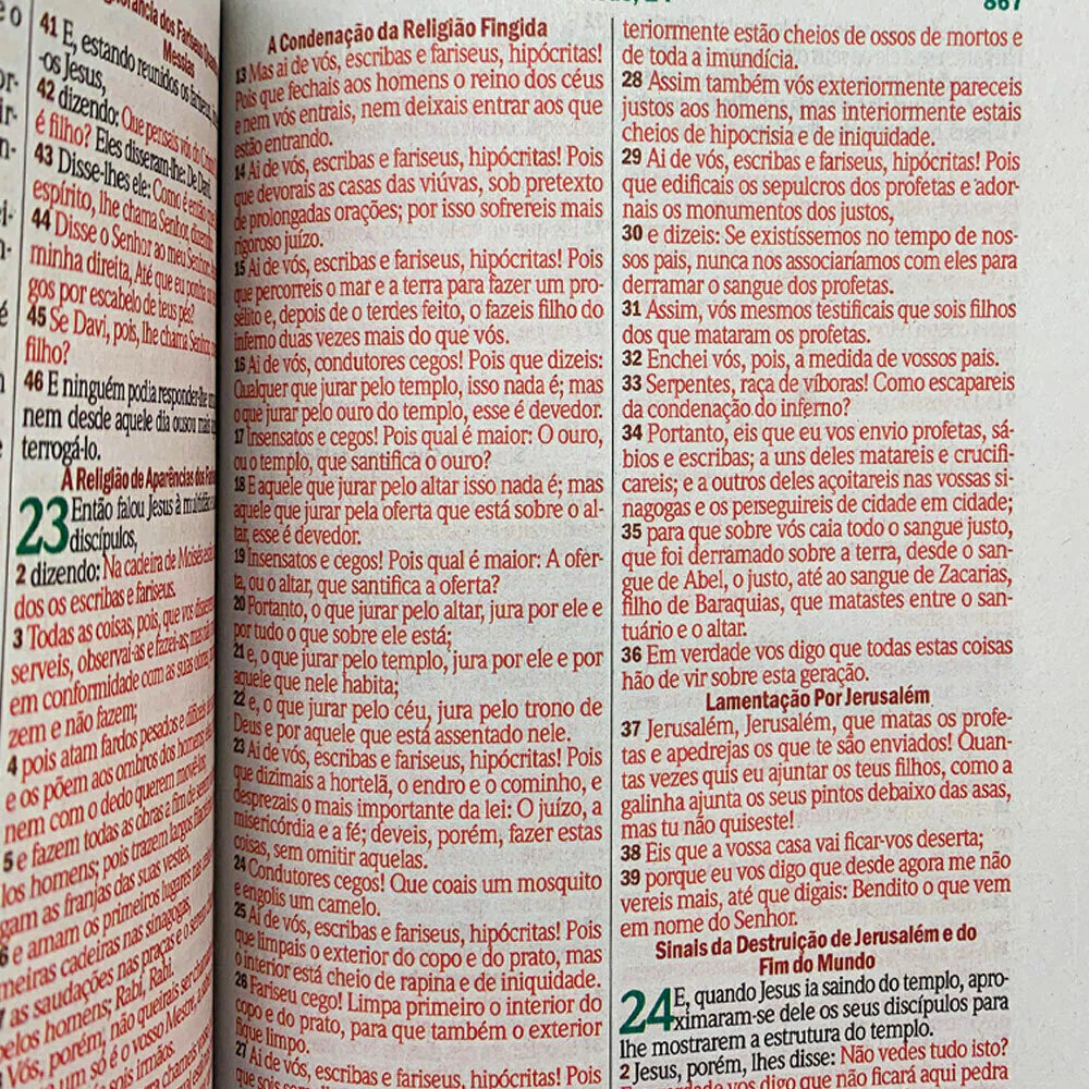 RC バイブル エコノミック ジャイアント プリント ハードカバー ハープとコーラス付き ライオン キング オブ キングス