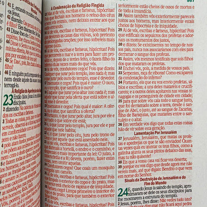 RC バイブル エコノミック ジャイアント プリント ハードカバー ハープとコーラス付き ライオン キング オブ キングス