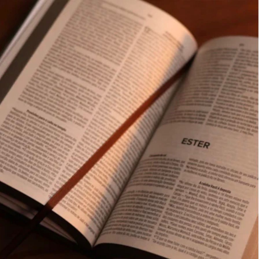 Bíblia Sagrada NVI Café