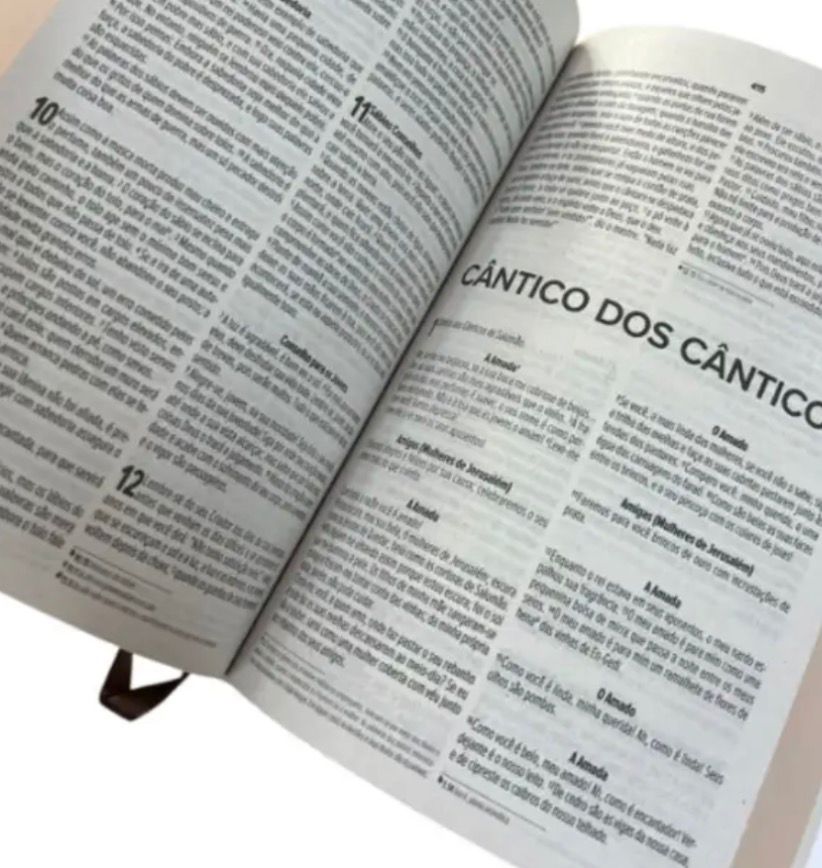 Bíblia Sagrada NVI Café