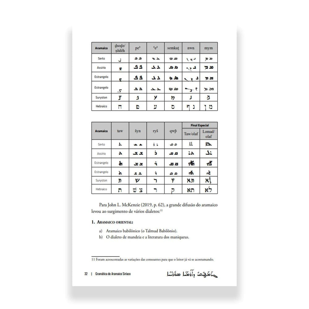 Peshitta - Grammar Of Syriac Aramaic And The Complete New Testament In Aramaic - Leonardo Andrade