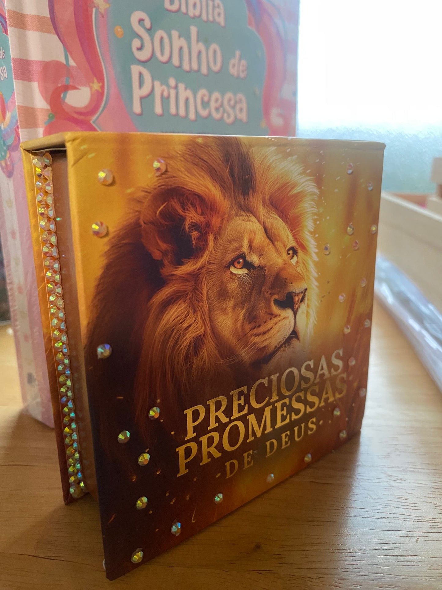 Preciosas Promessas de Deus Pedrinhas  Feminina | Caixinha de Promessas | Leão Dourado