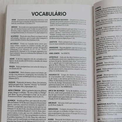 Bíblia Sagrada Flores | ACF | Letra Normal | Capa Brochura