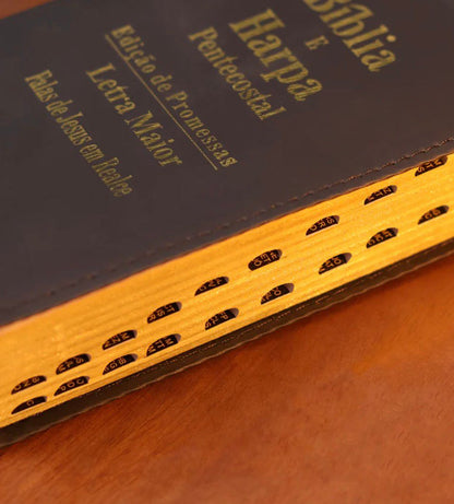 Bíblia E Harpa Pentecostal Edição De Promessas RC Letra Maior Luxo Preta