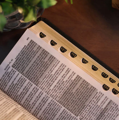 Bíblia E Harpa Pentecostal Edição De Promessas RC Letra Maior Luxo Preta