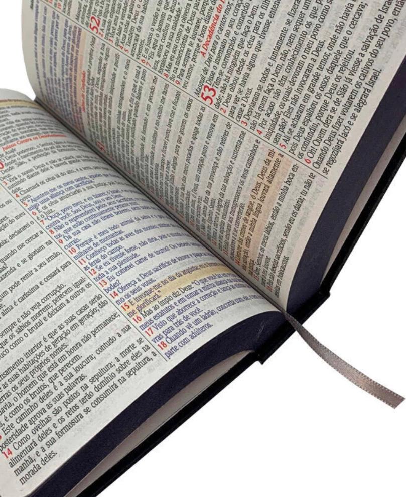 Bíblia Leão Reis Dos Reis com Abas - Letra Grande - Textos Coloridos - Versão NVA