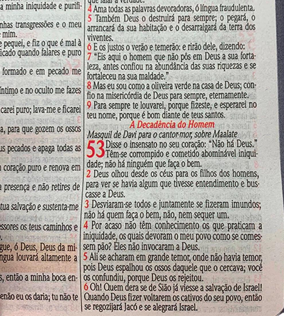 Bíblia Leão Reis Dos Reis com Abas - Letra Grande - Textos Coloridos - Versão NVA