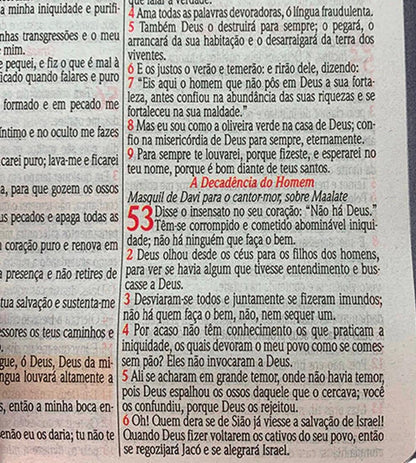 Bíblia Leão Reis Dos Reis com Abas - Letra Grande - Textos Coloridos - Versão NVA
