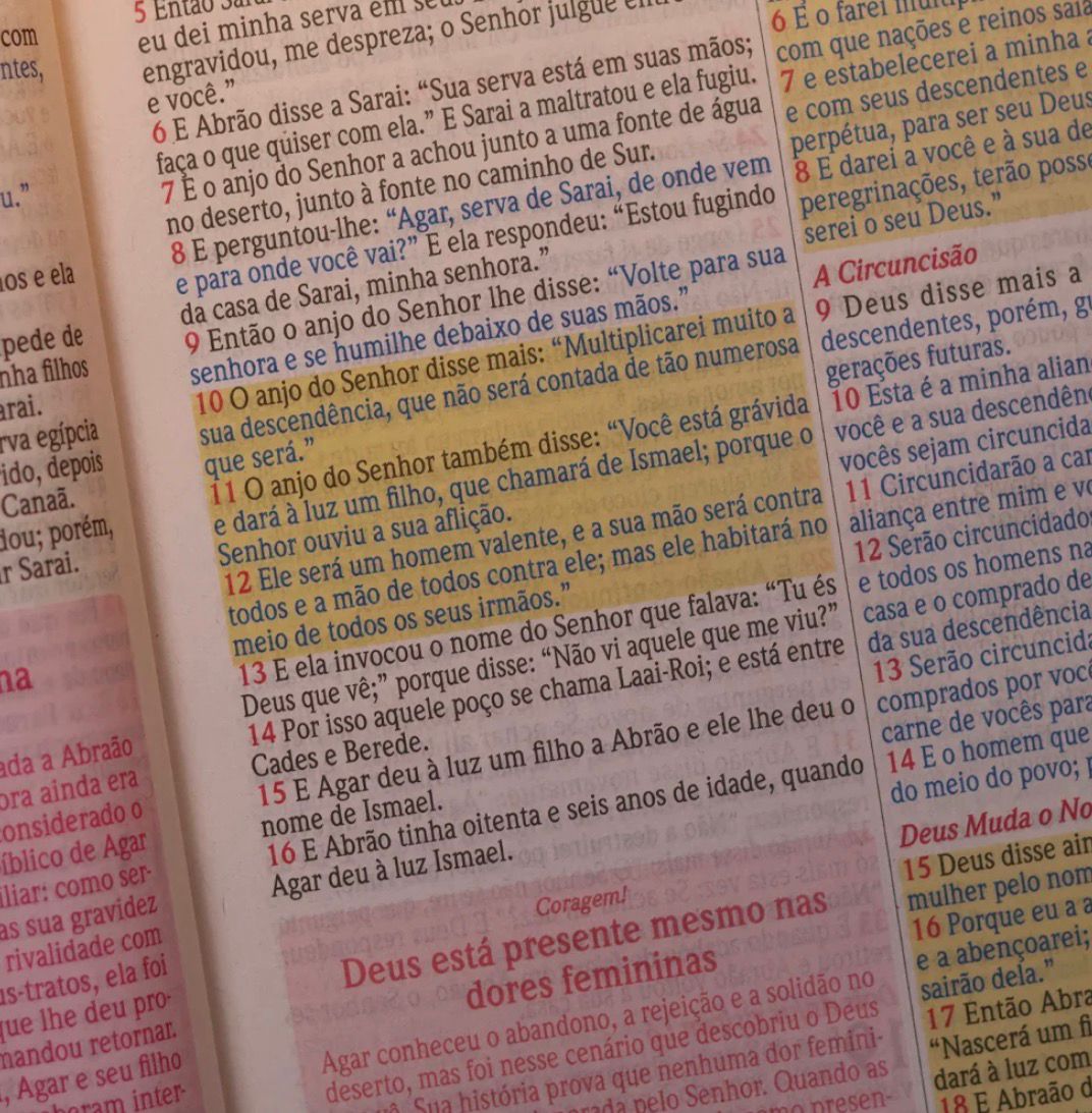 Bíblia de Estudo Para o Cotidiano da Mulher | NVA | Full Collor | Capa Dura Preta Com Rosa Dalias