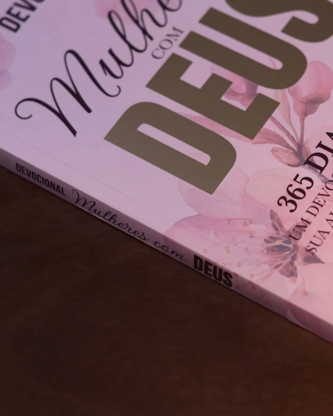 Mulheres com Deus - 365 Dias de Fé