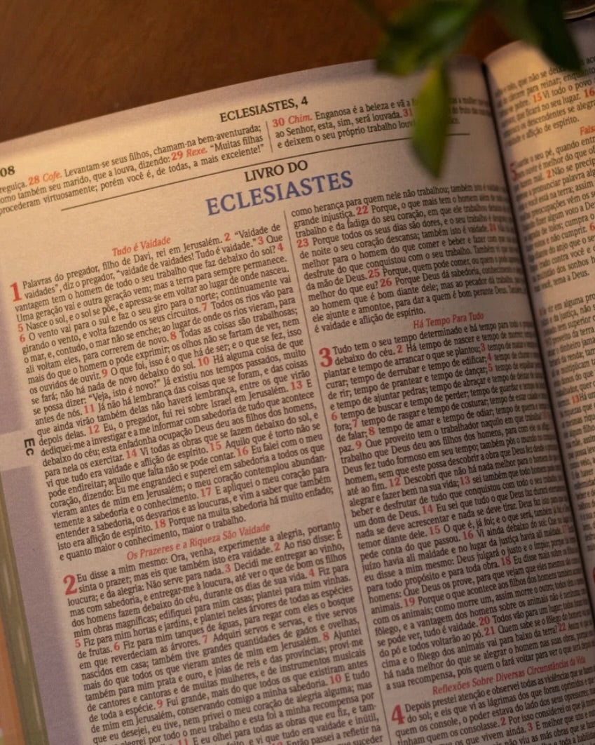 Bíblia Leão coroa Dourada NVA
