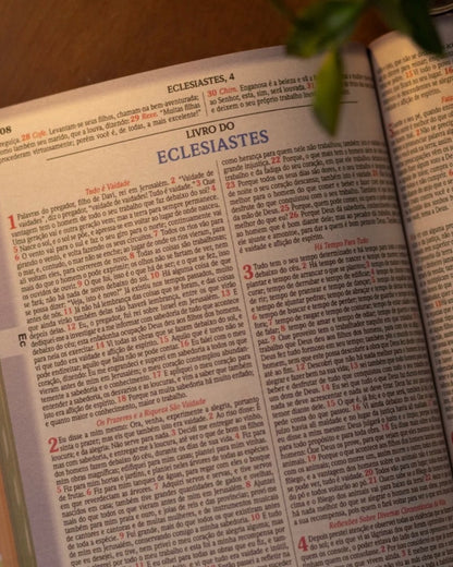 Bíblia Leão coroa Dourada NVA