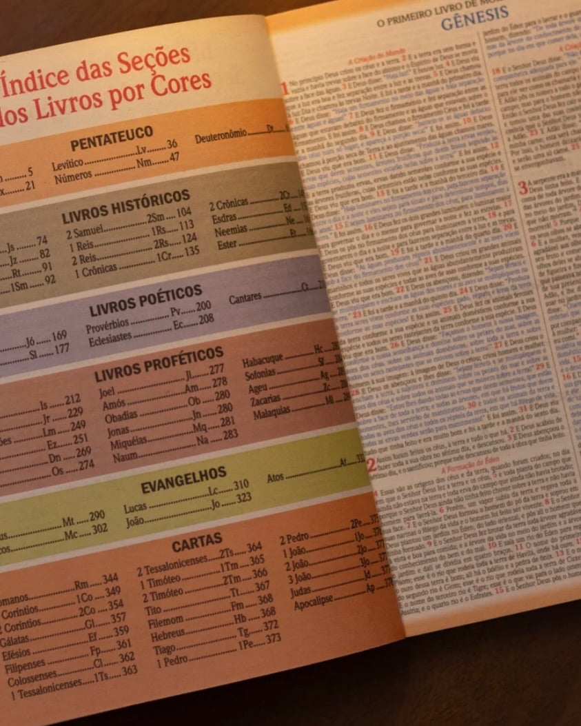 Bíblia Leão coroa Dourada NVA