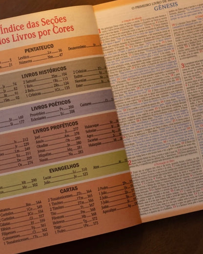 Bíblia Leão coroa Dourada NVA